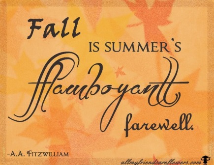 Flamboyant _Fall Farewell.jpg