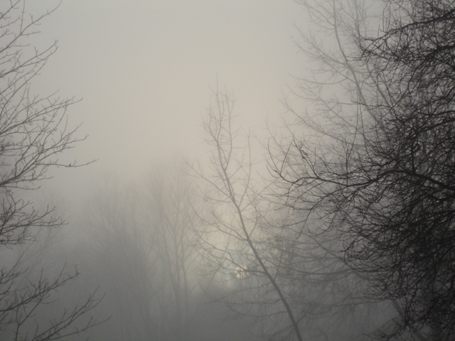 Foggy Day 001.JPG