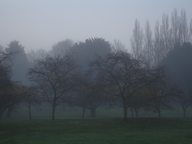 Foggy Day 016.JPG
