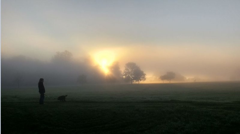 foggy sunrise.JPG