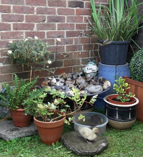 fountain (488x534).jpg