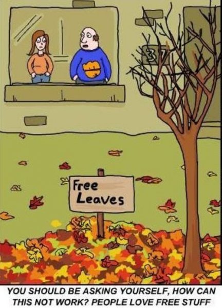 Free leaves.jpg