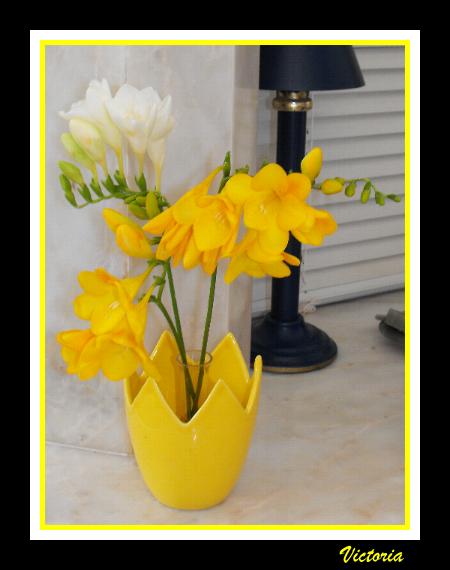 Freesias 17 March 10.JPG