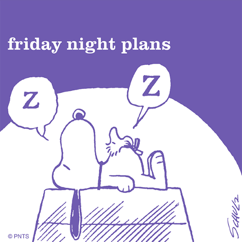 Friday night plans.png