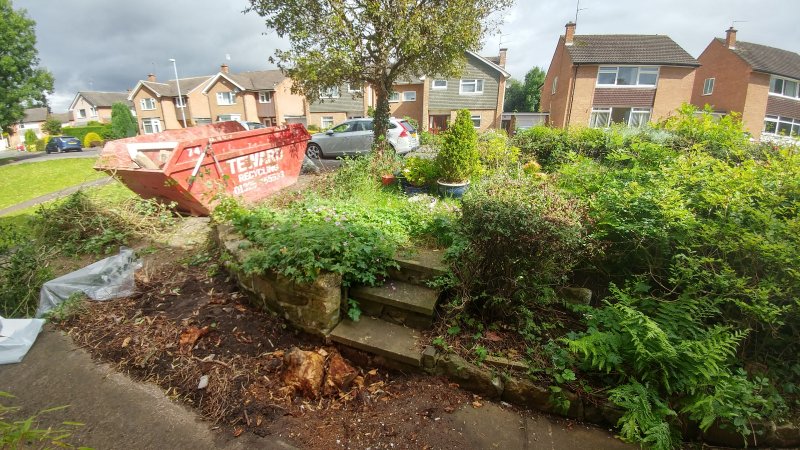 front garden before.jpg