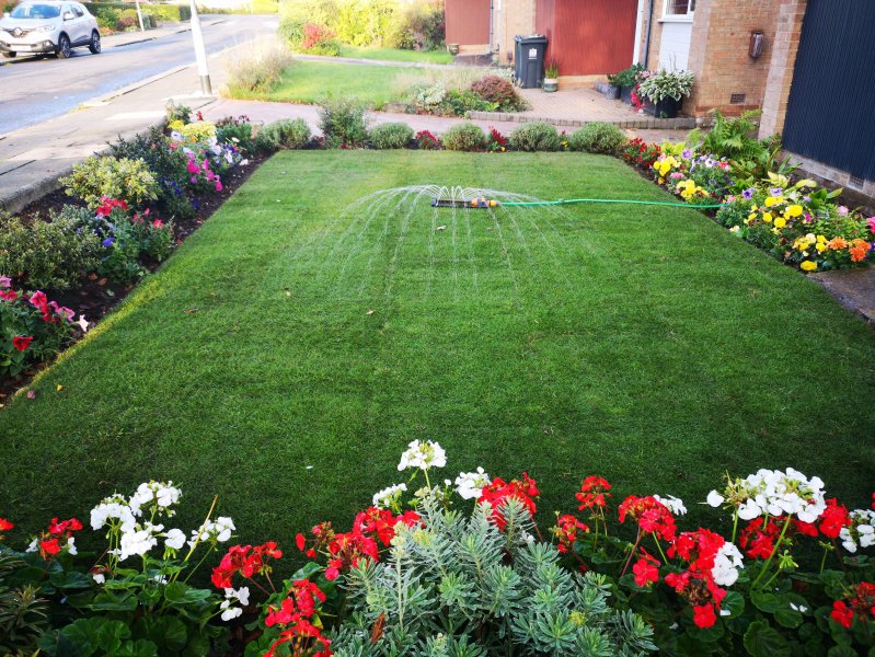 Front garden with lawn.jpg