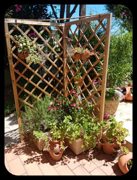 Front of House 3 5 Jul.jpg