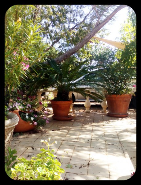 Front Patio 17 Sep 21.jpg