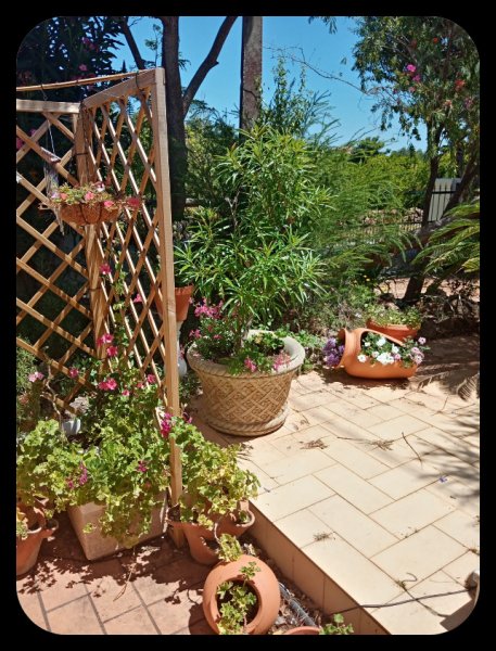 Front Patio 5 Jul.jpg