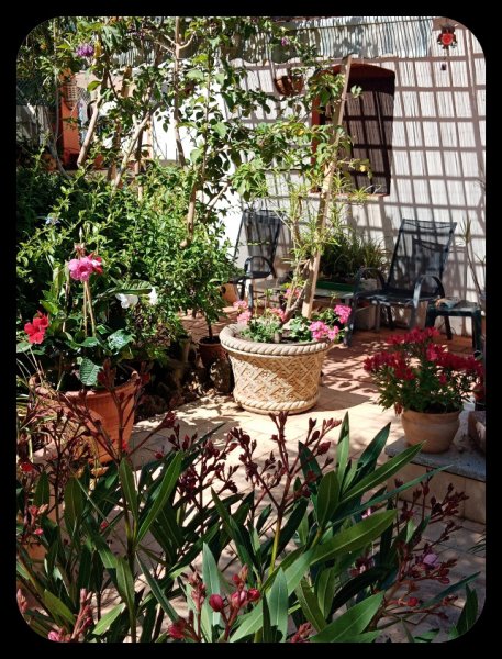 Front Patio 6 Jun.jpg