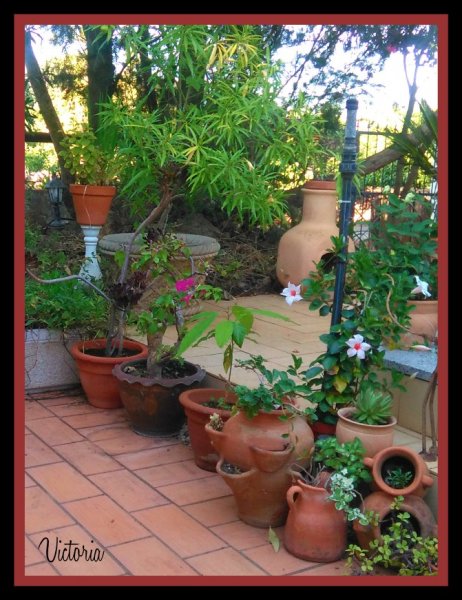 Front Patio 7 Oct 19.jpg