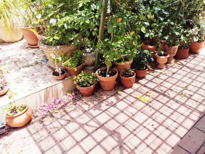 Front Patio1 1 Jul 25.jpg