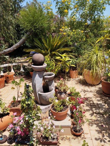 Front Patio3 1 Jul 25.jpg