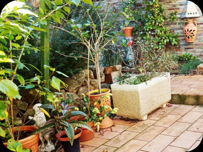 Front Pots e 22 Jan 24.jpg