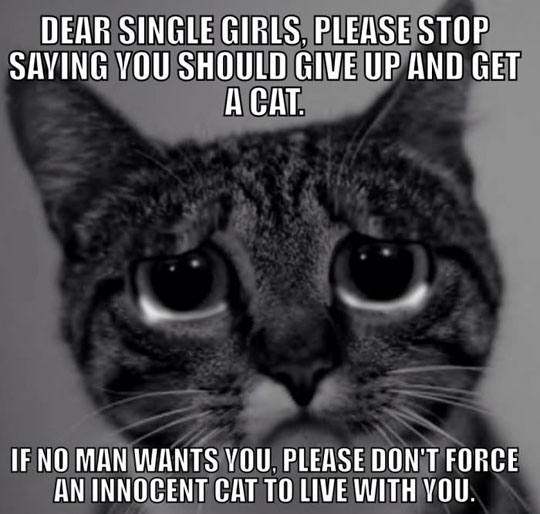 funny-sad-cat-single-girls.jpg