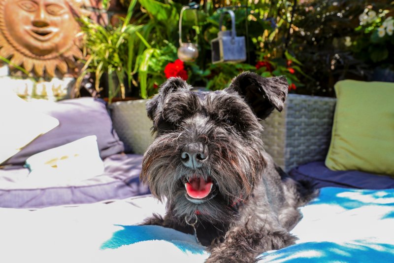 gard (1 of 1) copy.jpg