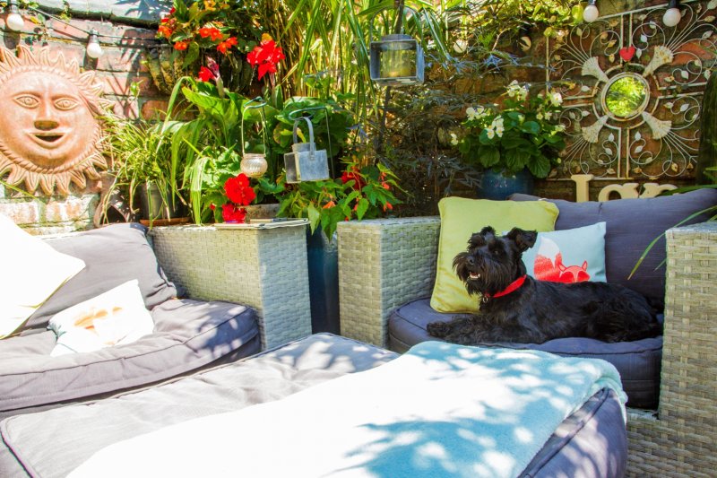 gard 2 (1 of 1) copy.jpg