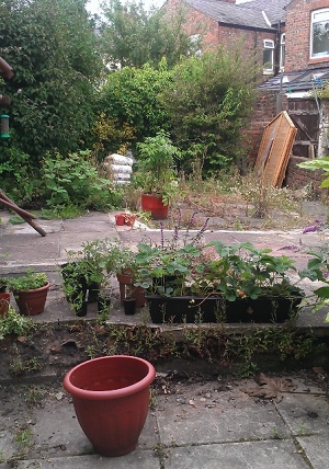 garden 2 (2) (448x640).jpg