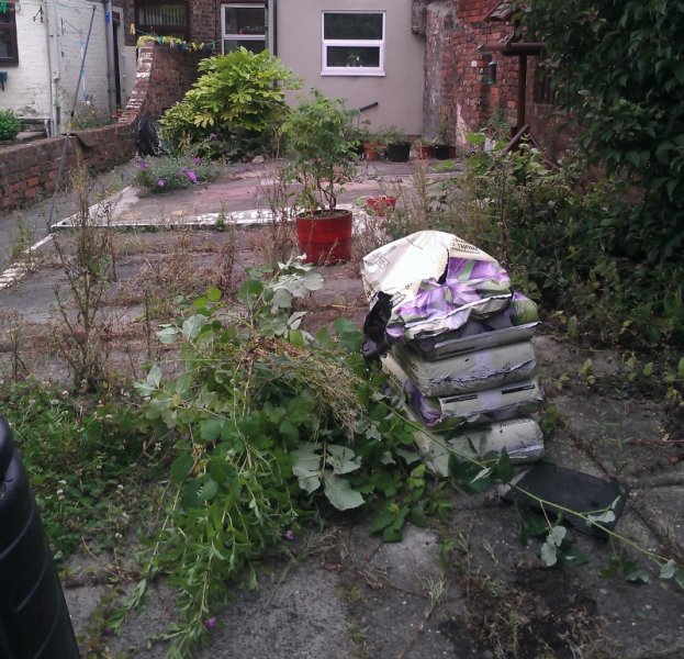 garden (800x770).jpg