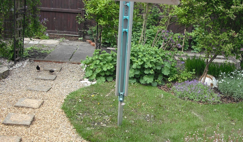 garden cat and birds.jpg