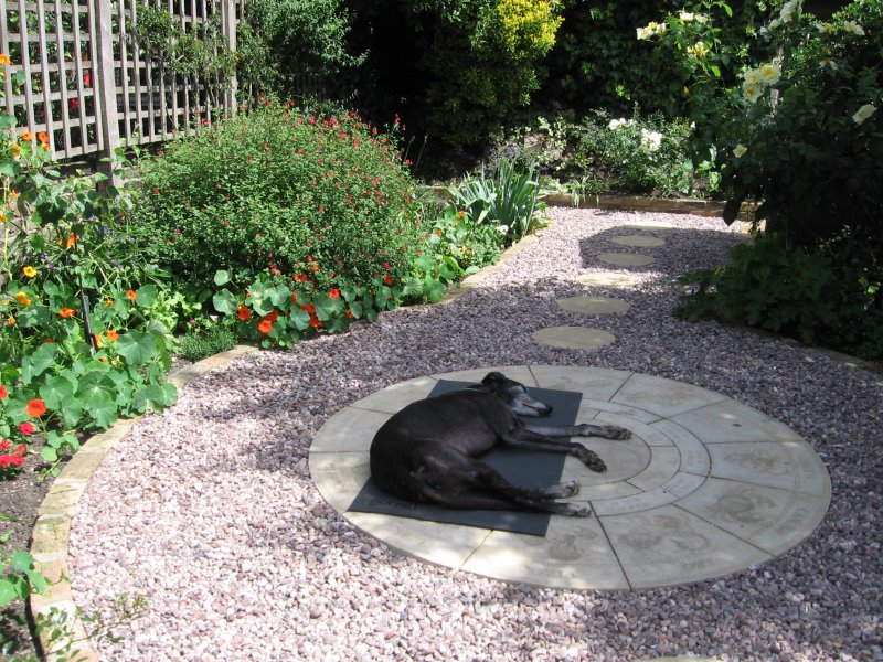 garden june 2017 001.JPG