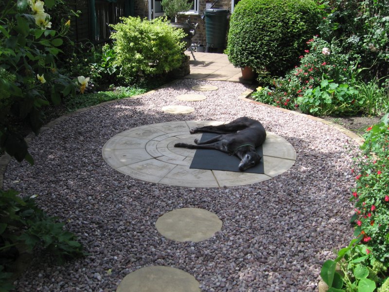 garden june 2017 007.JPG