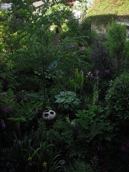 Garden June 6 2014 018 small.jpg