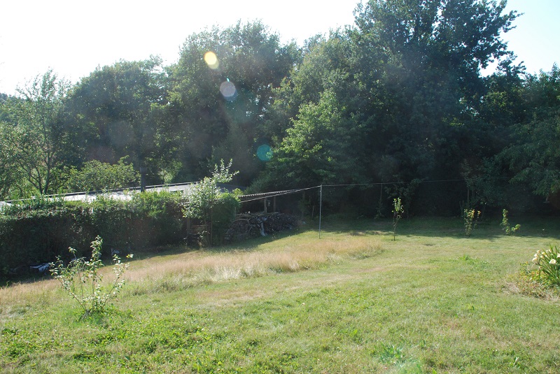 garden shots 2013-08-02 008.JPG