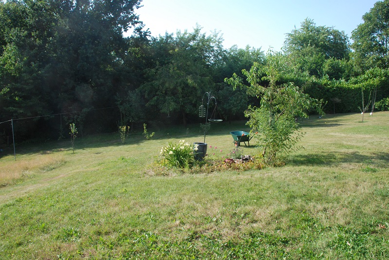 garden shots 2013-08-02 009.JPG