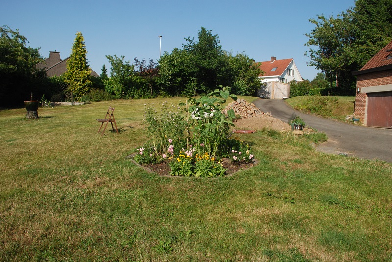 garden shots 2013-08-02 013.JPG