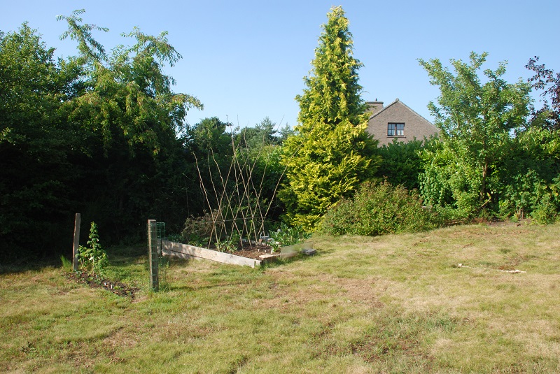 garden shots 2013-08-02 016.JPG