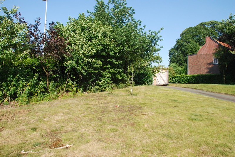 garden shots 2013-08-02 017.JPG