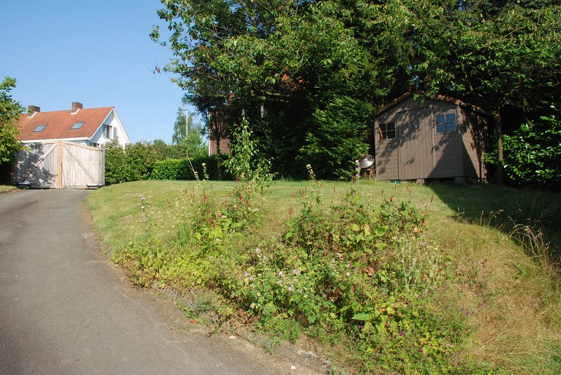 garden shots 2013-08-02 020.JPG