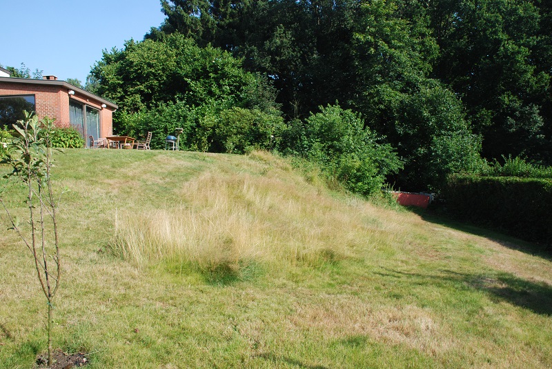 garden shots 2013-08-02 021.JPG