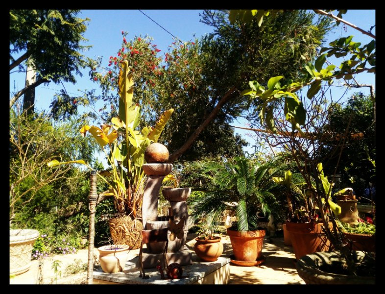 Garden Shuffle1 11 Ma 21r.jpg