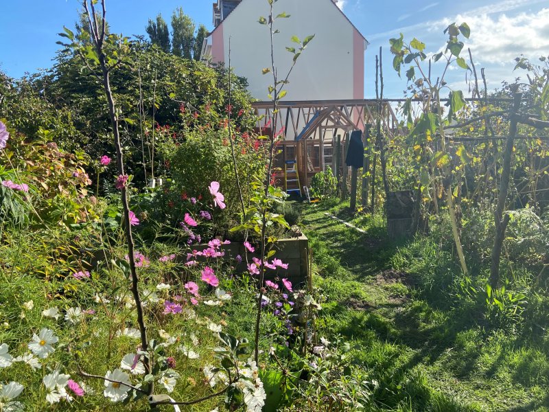 Garden summer 21.jpg