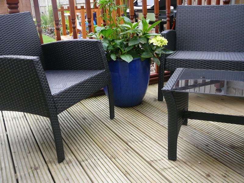 garden update2 002.JPG