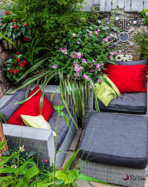 garden2 (1 of 1).jpg