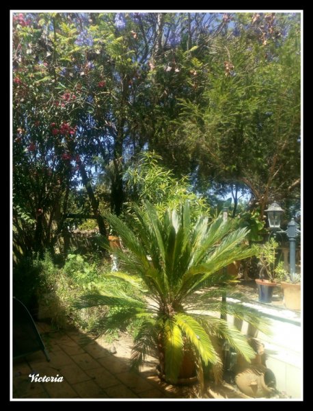 Garden2 10 un 19.jpg