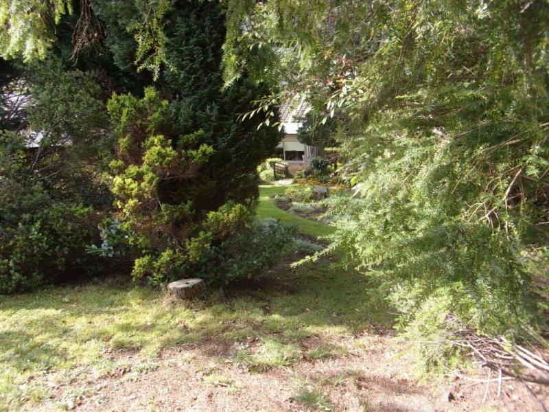 Gardens Sept 201_0009.JPG