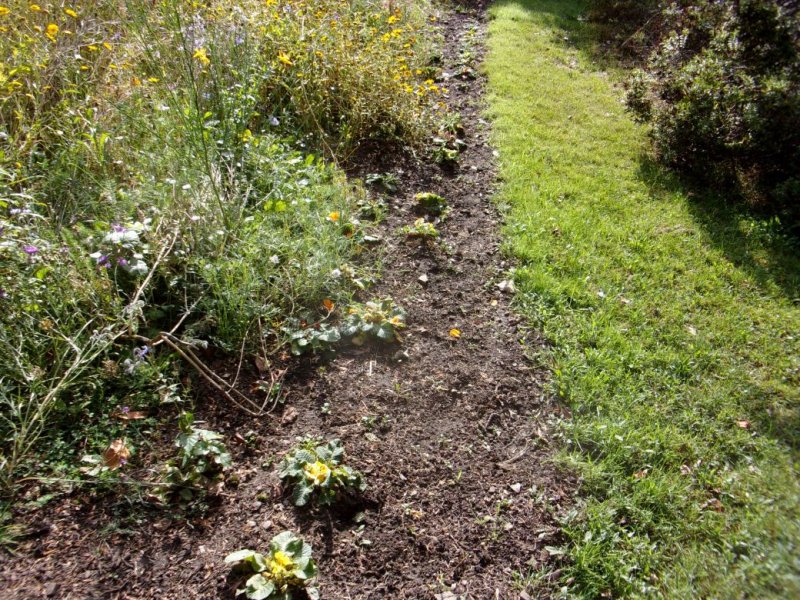 Gardens Sept 201_0010.JPG