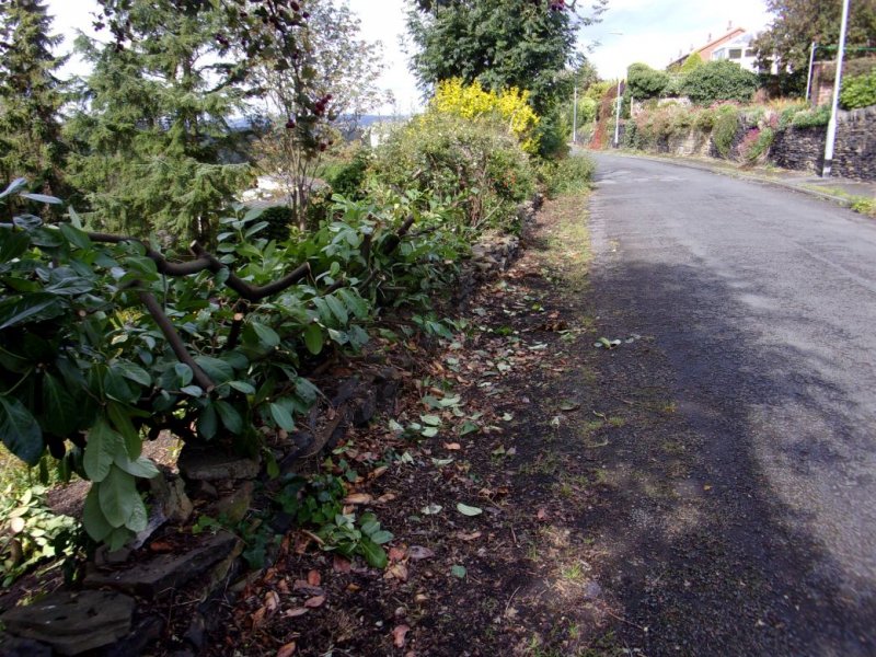 Gardens Sept 201_0012.JPG