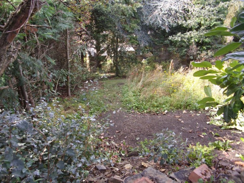 Gardens Sept 201_0013.JPG