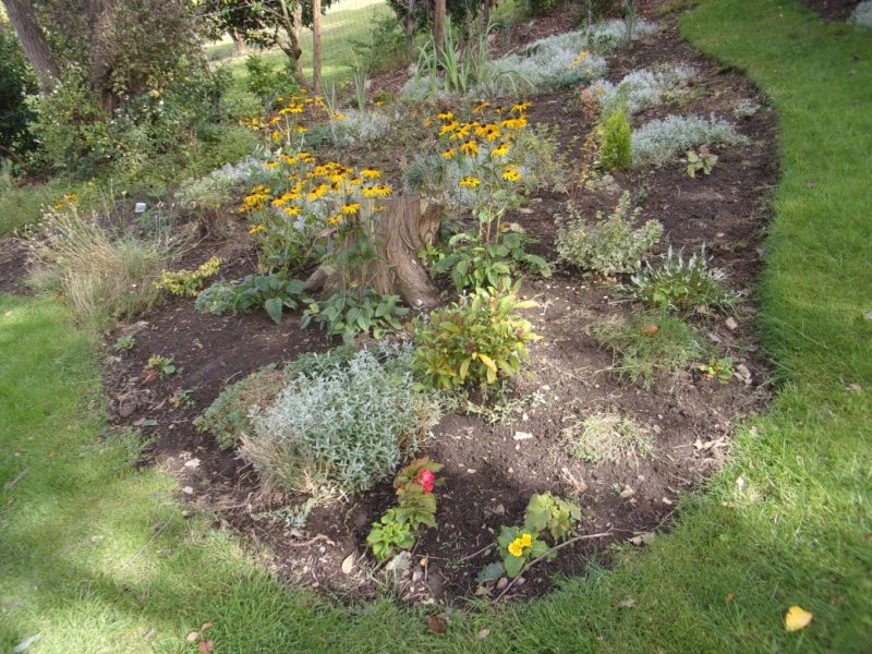 Gardens Sept 201_0015.JPG