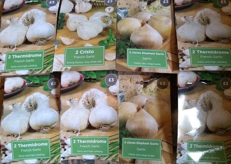garlic BD.jpg
