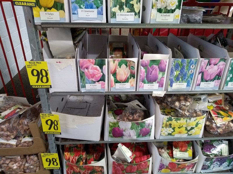 GC bunnings bulbs.jpg