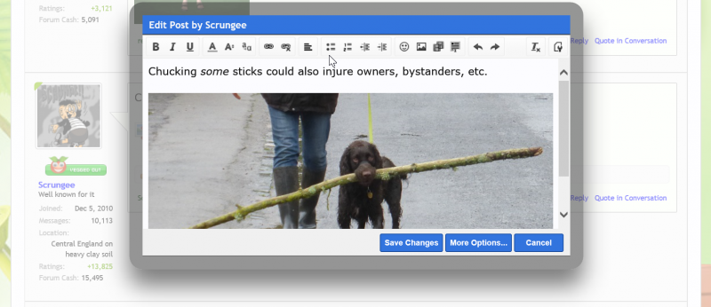 GC error pic display2.PNG