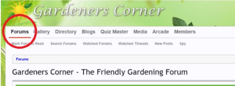 GC home previous.JPG