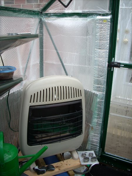 GH Almost spring 2015 (1).JPG