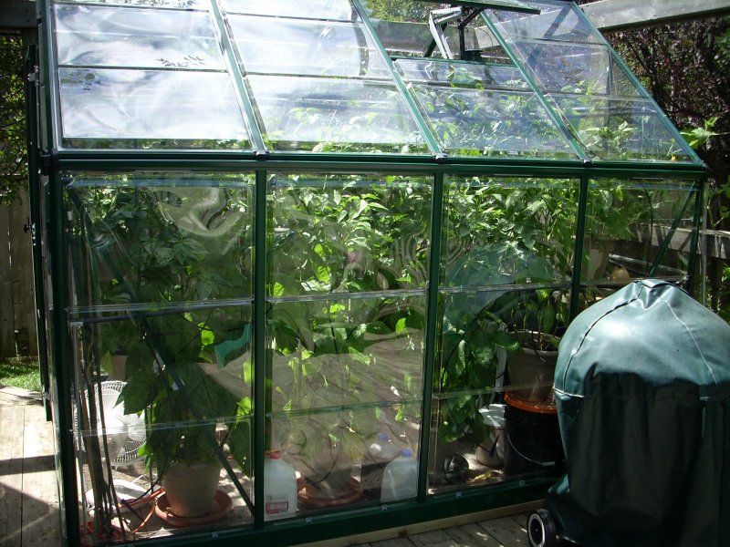 GH vs Elements 024.JPG